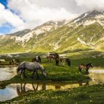 Campo-Imperatore