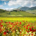Castelluccio