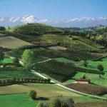 Langhe-Wine-Region