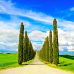 Val-D’Orcia