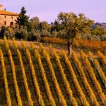 Loacker-Corte-Pavone