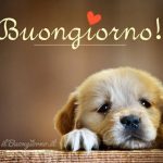 buongiorno