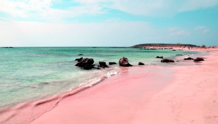 Spiaggia Rosa Budelli The Pink Beach Of Italy