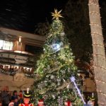 Naples-Christmas-Tree