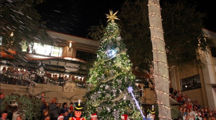 Thieves stole Naples’ Christmas tree