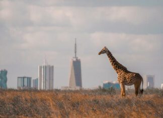 Nairobi skyline and Westlands business district safety guide 2025