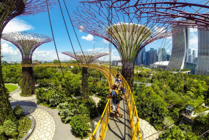 Signapore