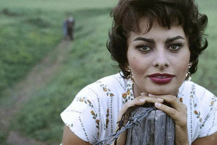 Sophia Loren in the Early 1950s