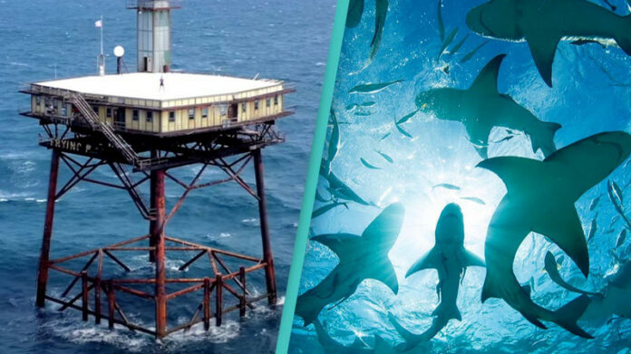Top 10 Most Dangerous Hotels in the World Most Dangerous Hotels in the World