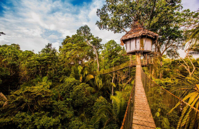 Treehouse Lodge – Peru